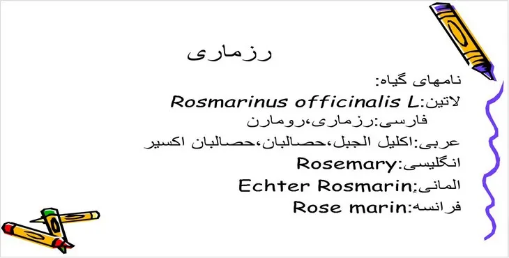 دانلود پاورپوینت گیاه رزماری