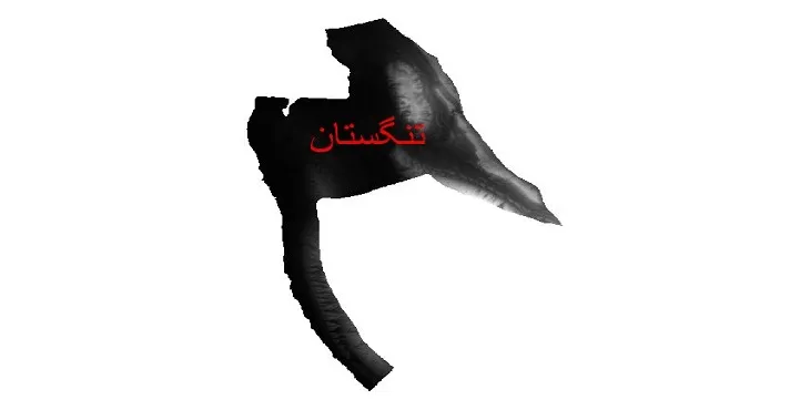 دانلود نقشه دم (DEM) شهرستان تنگستان | دقت 30 متر