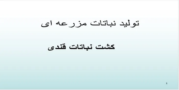 دانلود پاورپوینت کشت نباتات قندى