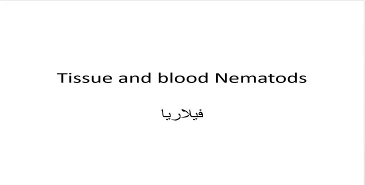 دانلود پاورپوینت فیلاریا