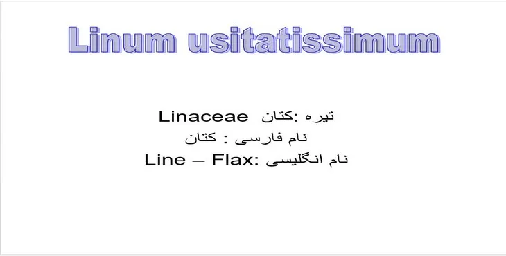 دانلود پاورپوینت معرفی و آشنایی با گیاه کتان