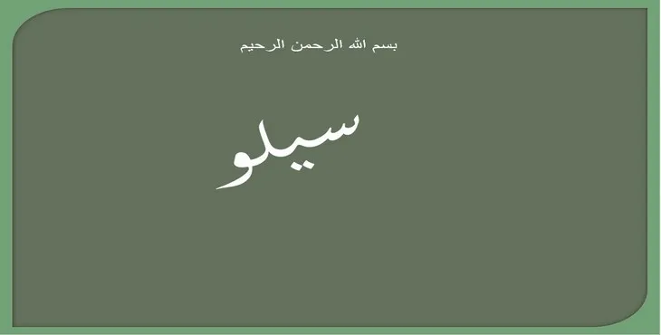 دانلود پاورپوینت سیلو