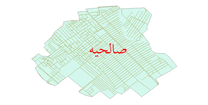 دانلود نقشه شیپ فایل شبکه معابر شهر صالحیه