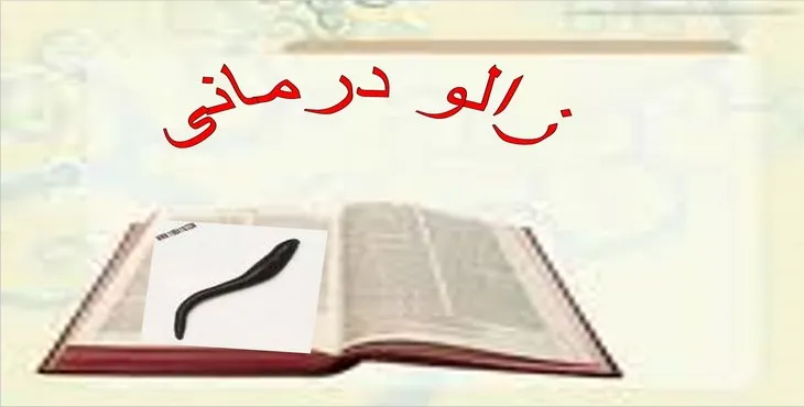 دانلود پاورپوینت زالو درمانی