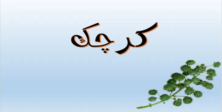 دانلود پاورپوینت کرچک