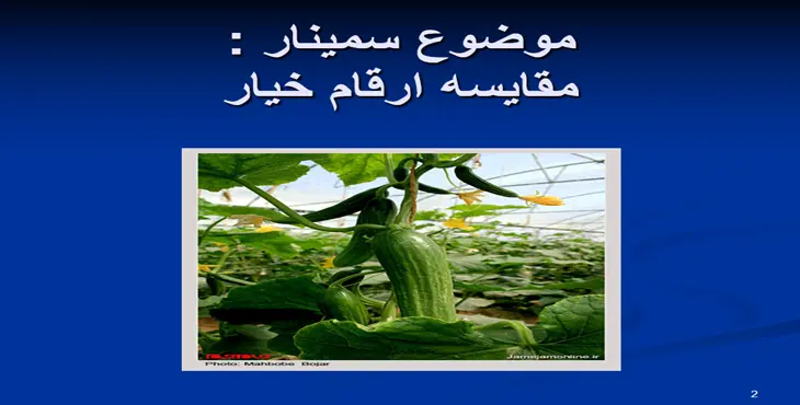 دانلود پاورپوینت مقايسه ارقام خيار