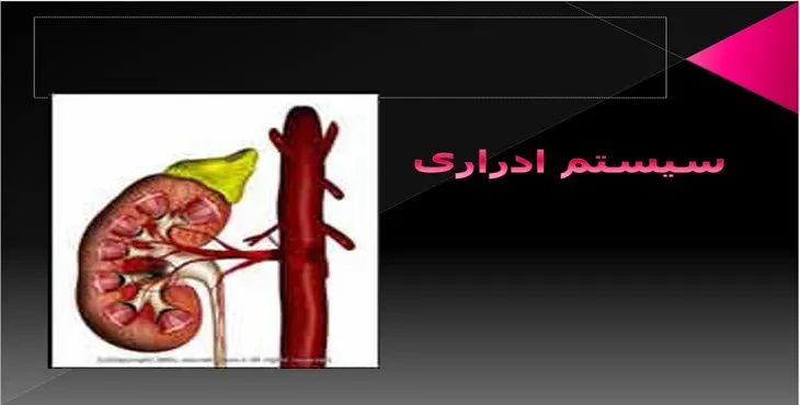 دانلود پاورپوینت سیستم ادراری