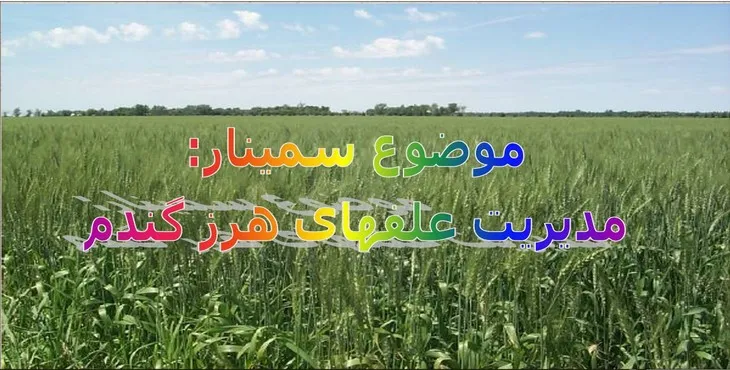 دانلود پاورپوینت مدیریت علفهای هرز گندم