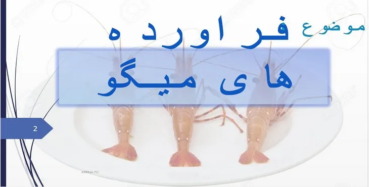 دانلود پاورپوینت فراورده‌های میگو