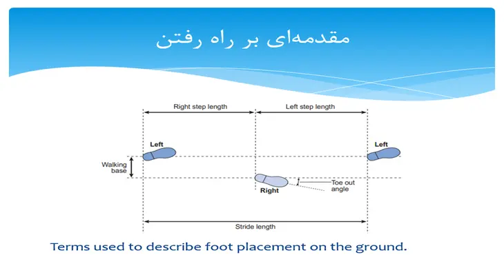 دانلود پاورپوینت مقدمه ای بر راه رفتن
