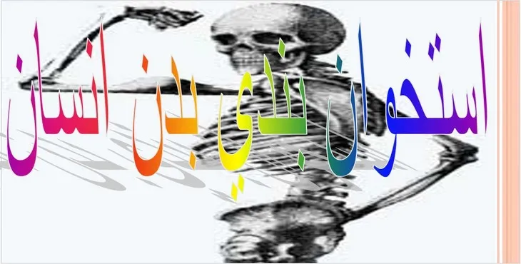 دانلود پاورپوینت استخوان بندی بدن انسان