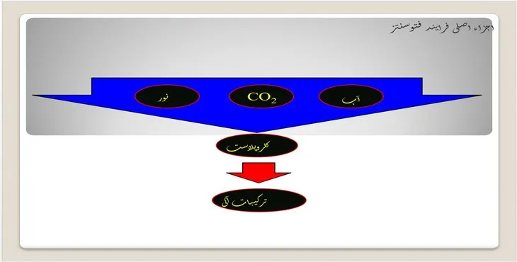 دانلود پاورپوینت اجزاء اصلی فرایند فتوسنتز