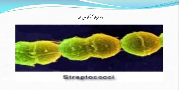 دانلود پاورپوینت استرپتوكوكوس‌ها