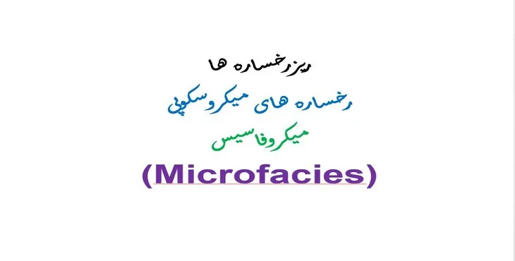 دانلود پاورپوینت ريز رخساره ها