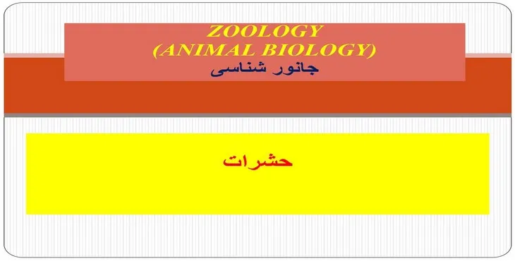 دانلود پاورپوینت حشرات