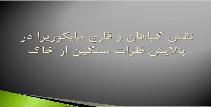 پاورپوینت نقش گیاهان و قارچ مایکوریزا در پالایش فلزات سنگین از خاک