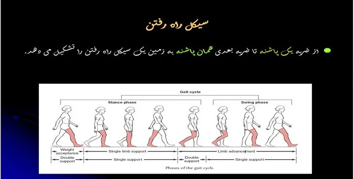 دانلود پاورپوینت سیکل راه رفتن