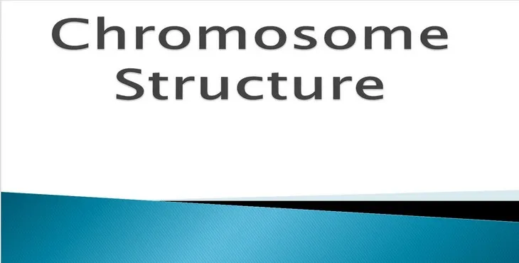 دانلود پاورپوینت ساختار کروموزوم