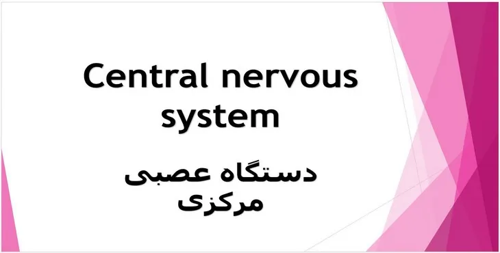 دانلود پاورپوینت دستگاه عصبی مرکزی