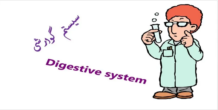 دانلود پاورپوینت سیستم گوارشی