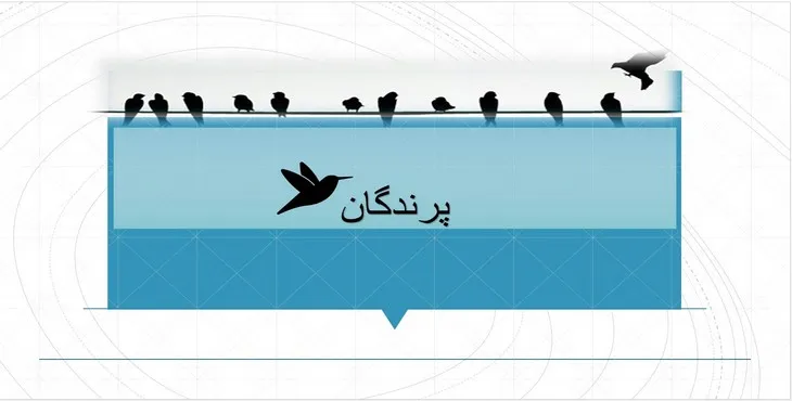 دانلود پاورپوینت پرندگان