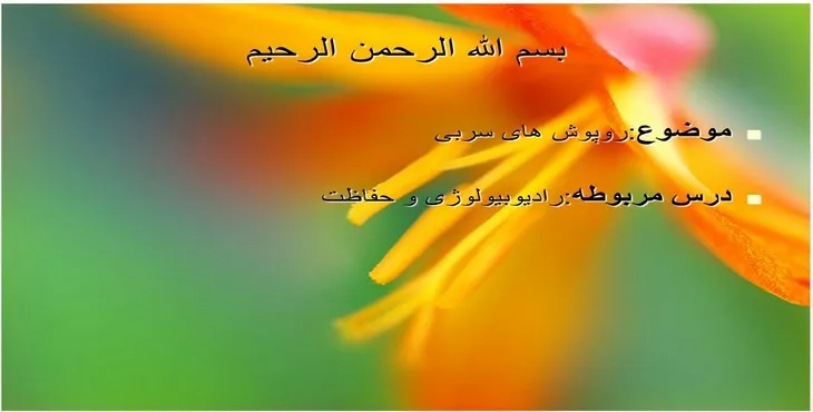 دانلود پاورپوینت روپوش‌های سربی