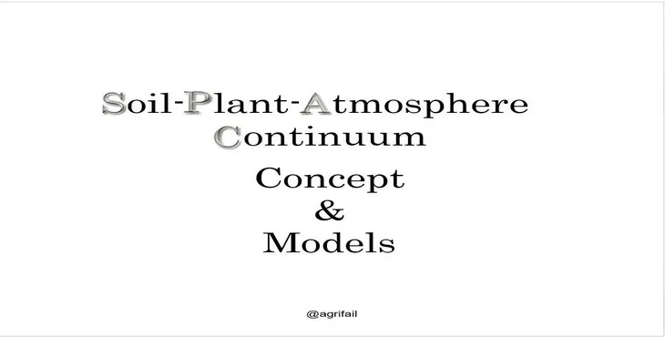 دانلود پاورپوینت حرکت آب از خاک به ریشه