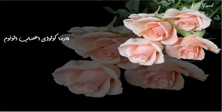 دانلود پاورپوینت فارماکولوژی اعصاب اتونوم