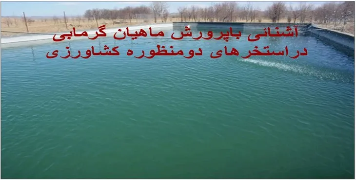 پاورپوینت پرورش ماهیان گرمابی در استخرهای کشاورزی