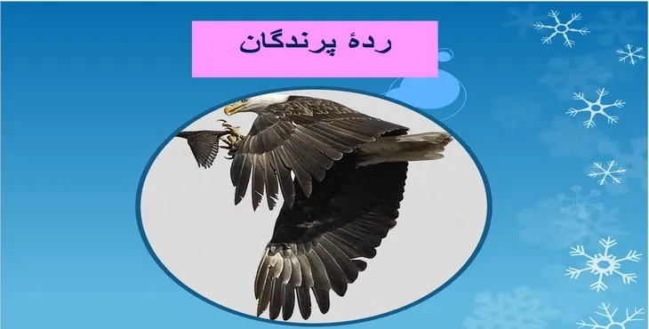 دانلود پاورپوینت رده پرندگان و پستاندارن