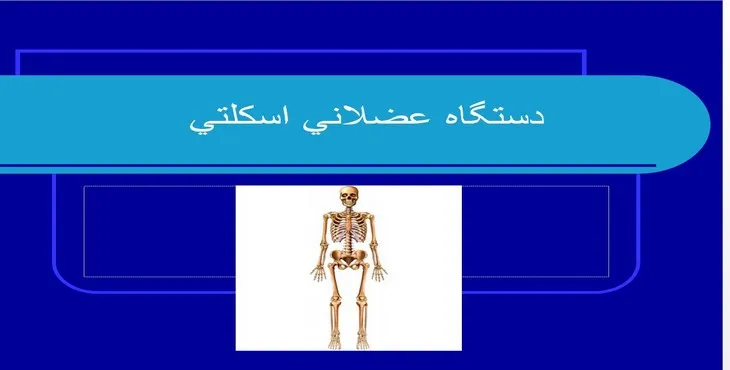 دانلود پاورپوینت دستگاه عضلانی اسكلتی