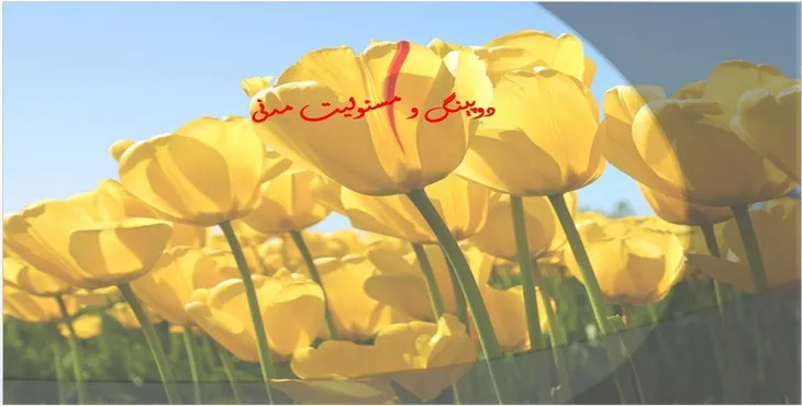 دانلود پاورپوینت دوپینگ و مسئولیت مدنی