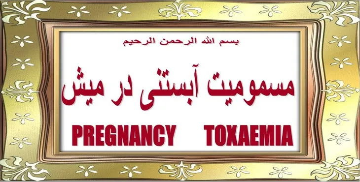 دانلود پاورپوینت مسمومیت آبستنی در میش