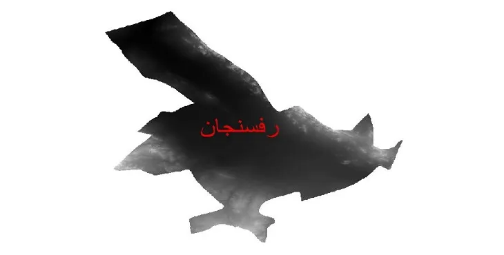 دانلود نقشه دم (DEM) شهرستان رفسنجان | دقت 30 متر
