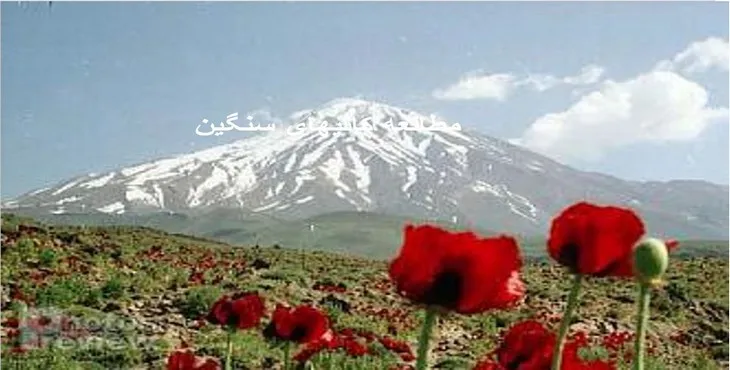 دانلود پاورپوینت مطالعه کانی های سنگین