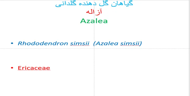 دانلود پاورپوینت گیاهان گل دهنده گلدانی
