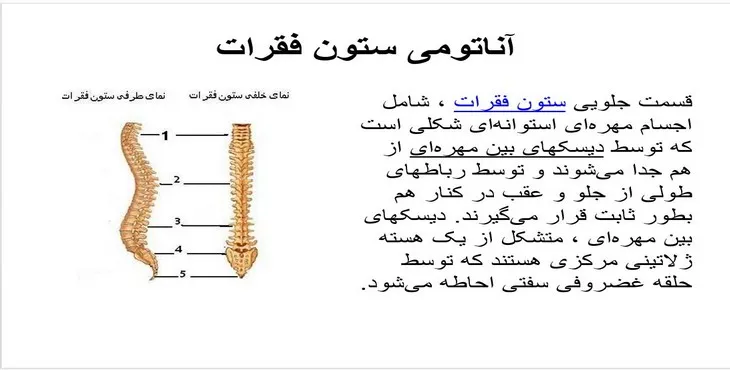 دانلود پاورپوینت آناتومی ستون فقرات